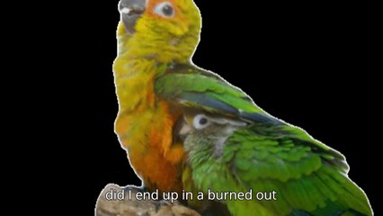 mm culture magazine neoflux