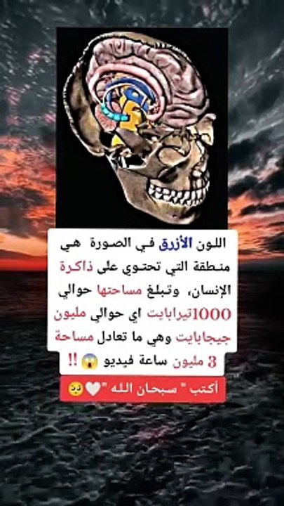 عضمة الخالق مخ الانسان !؟!؟