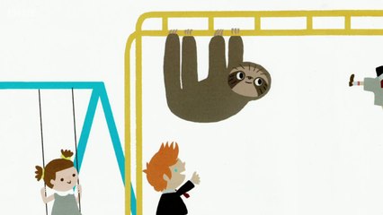 If I Had a Sleepy Sloth  -  David Schwimmer