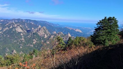 늦더위로 늦어진 가을...설악산 고지대 단풍 관측 / YTN