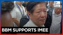 Govt coalition backs Imee Marcos