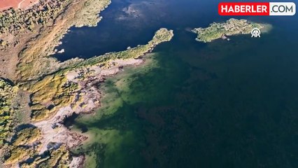 Konya'da satılık ada! Metrekaresi 9 dolardan satılıyor, talep patlaması yaşanıyor