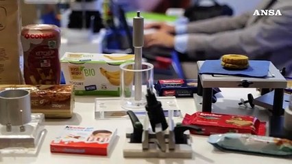 Funghi sempre più nutrienti, alternativa alla carne