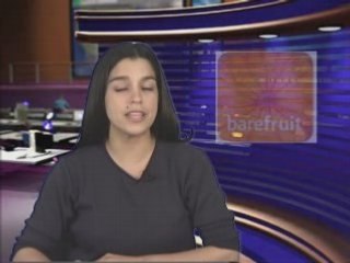 SearchEngineUpdate with Vanessa Zamora - 04-21-2008