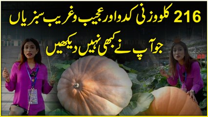 216 kilo wazni kaddu aur ajeeb o ghareeb sabzia jo apnay kabhi nahi dekhee