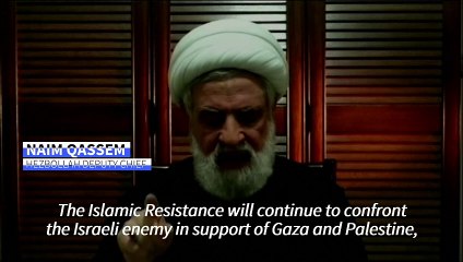Hezbollah says it will keep up fight against Israel in 'support' of Gaza