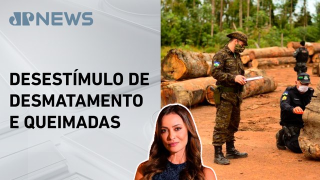 Ministério da Justiça propõe aumento de pena para crimes ambientais; Patrícia Costa analisa