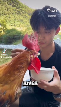#friendship #funnyvideo #humanity #chicken #friends #loyal #ironia #food #sn2sg #sunnight #sunnightmusic #story #loveyou #lovestory #donotlovetoolong #sunnightpop #sunnightblues #sunnightjazz #pet #animallover #situationship #heartbroken #heartbreak #sad