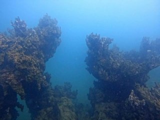 Van Gölü’nde keşfedildi Tam 34 metrelik mercan