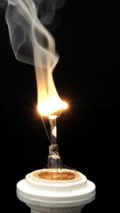 Inside Working of Light Bulb Practically Explained