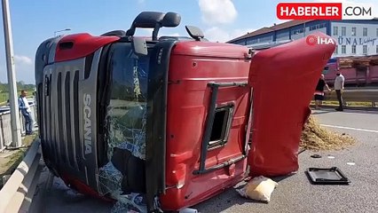 Boynunu Arı Sokan Tır Sürücüsü Kazada Yaralandı