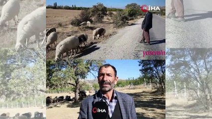 70 bin TL maaş ve bir dizi imkan sağlıyor ama çalışan bulamıyor!