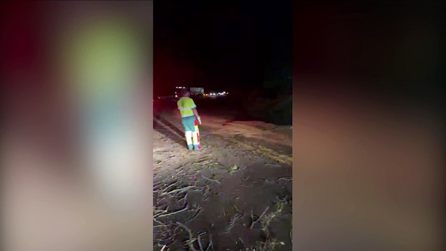 Atenção: Índios estão cortando árvores às margens da BR-277 para bloquear via e realizar saques