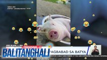 BT Rewind - Mga TRENDING na trip noong tag-init! | Balitanghali