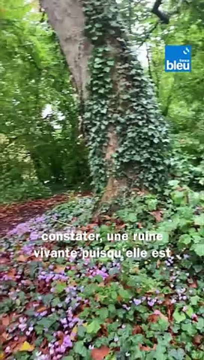 A la découverte du Château de La Mothe-Chandeniers