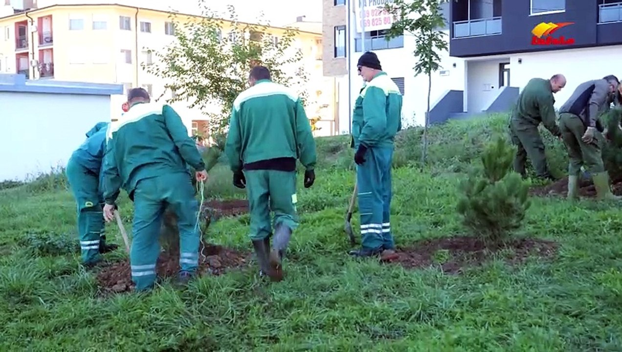 Posađene 33 sadnice u parku kod stadiona