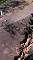 CAM - Tempête Hélène : Dernières Actualités et Curation 🌪️