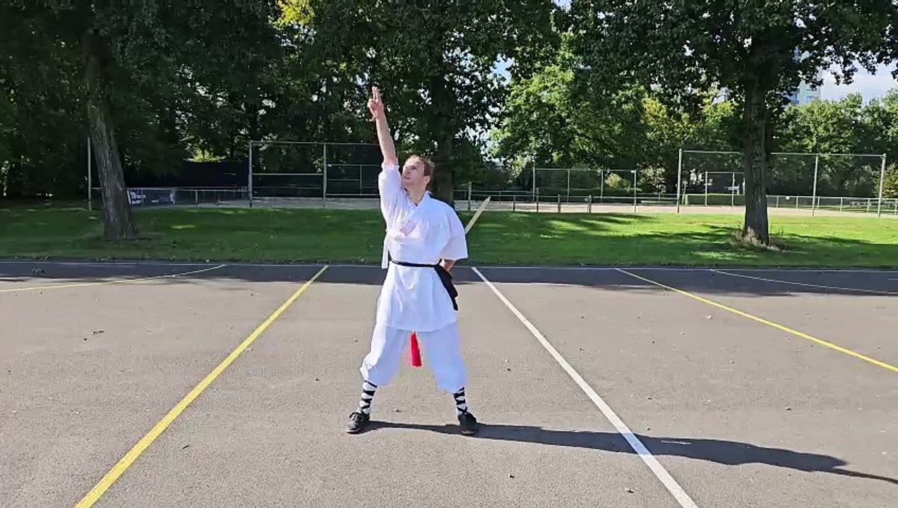 Shaolín Kungfu Xuànfēng Jian Form 少林旋風劍 He Yong Gan Martial Arts