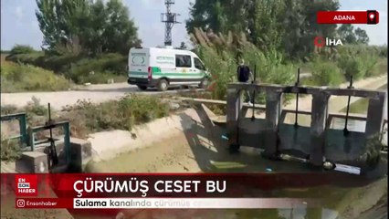 Adana'da sulama kanalında çürümüş ceset bulundu