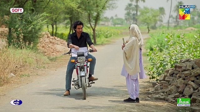 Zard Patton Ka Bunn - Ep 21 - 29 Sep 24 - Sponsor By Gofy, Master Paints