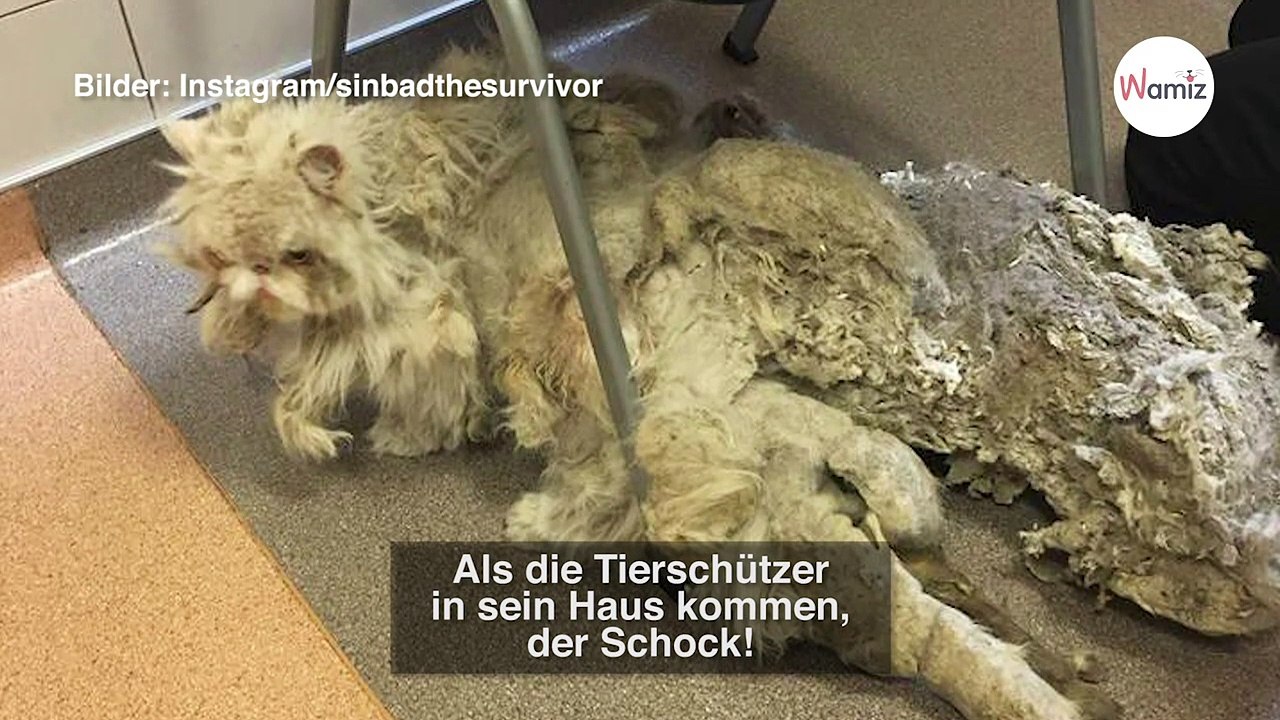 Alptraum bei Rentner: Hinter seiner Haustür verbirgt sich eine schlimme Kreatur