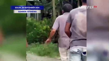 Seekor Babi Hutan Mengamuk, Warga Coba Tangkap namun Terluka hingga Patah Tulang