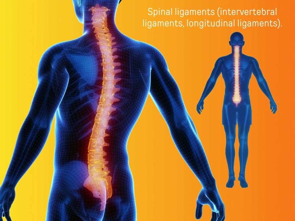Ligaments complete information in hindi | ligaments major type of injuries and its treatment