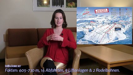 Lena: Skifahren im Postwiesen Skidorf Neuastenberg.