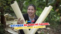 Katawan ng puno ng saging, pwede palang kainin?! | I Juander