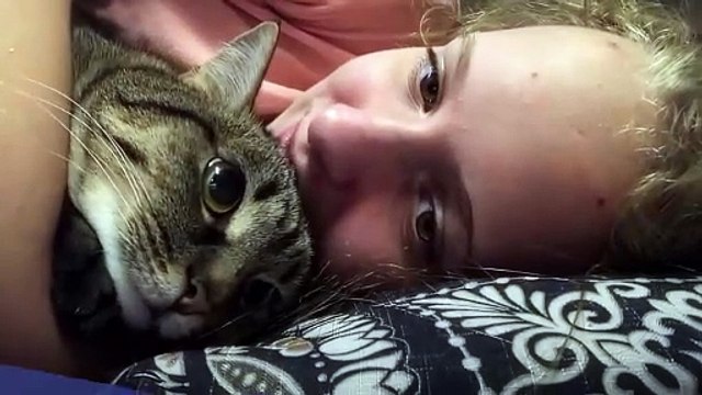 Le grand bêtisier des animaux - 3 octobre