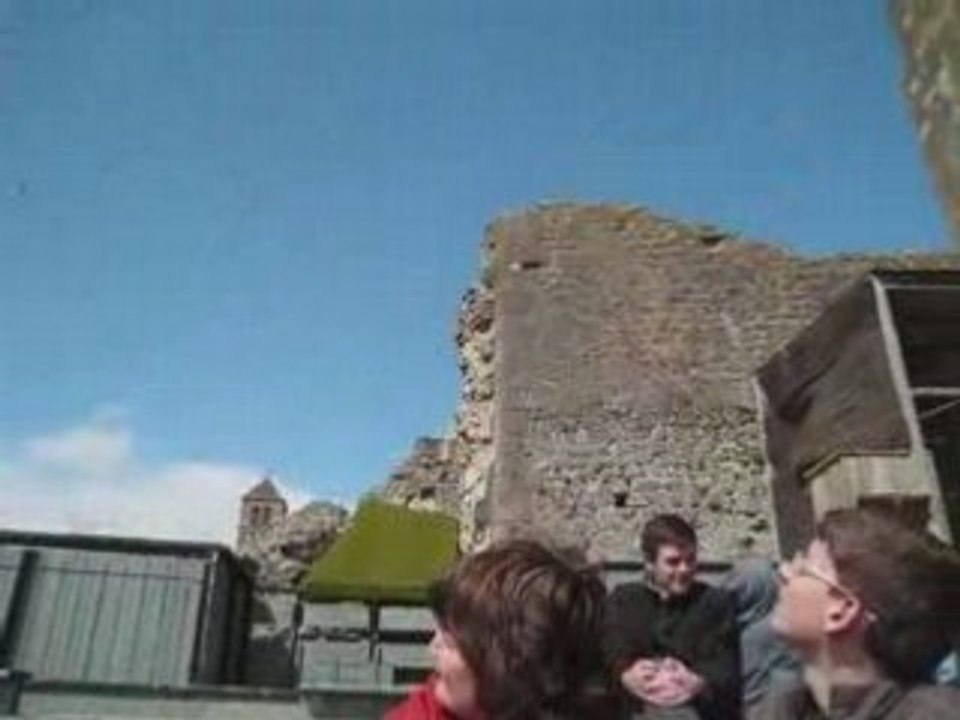 Faucon lanier au leurre - chauvigny