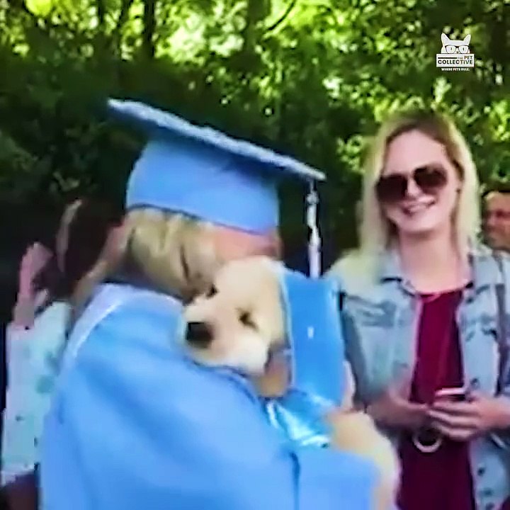 Teacher's Pets