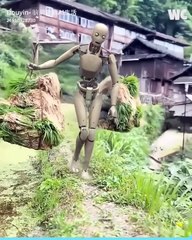 Robots on the Farm: A New Way of Life! 