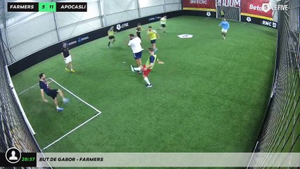 But de Gabor - farmers