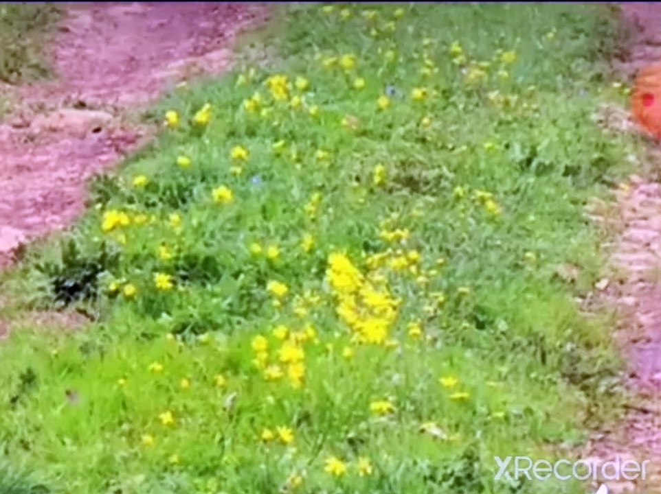 الحمية راس الدواء نقي قلبك