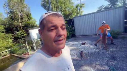 Plex se pelea contra un canguro