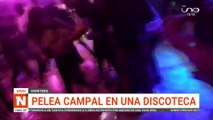 Pelea campal en una discoteca en Montero