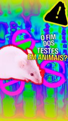 O fim dos testes em animais?