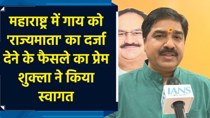 Maharashtra में Cow को 'Rajmata' का दर्जा देने के फैसले का Prem Shukla ने किया स्वागत