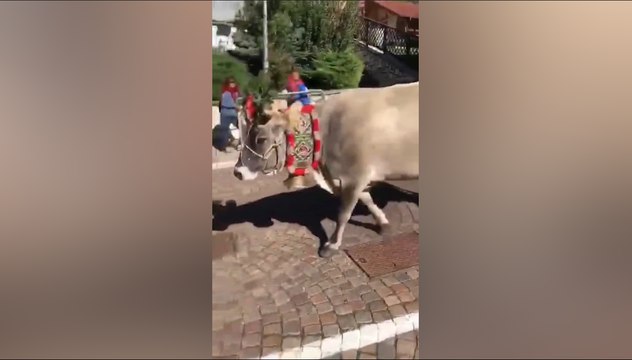 Che spettacolo alla Desmontegada di Fiera di Primiero