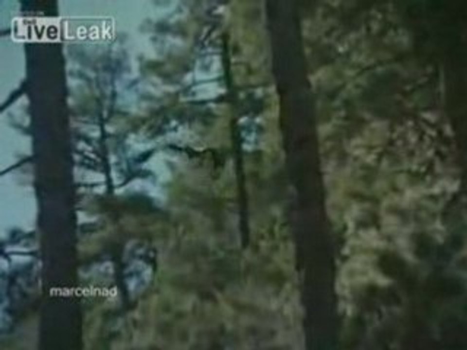 Eagle vs. Goat