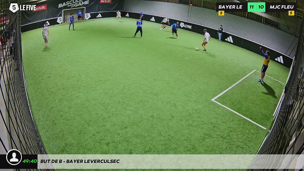 But de B - BAYER LEVERCULSEC