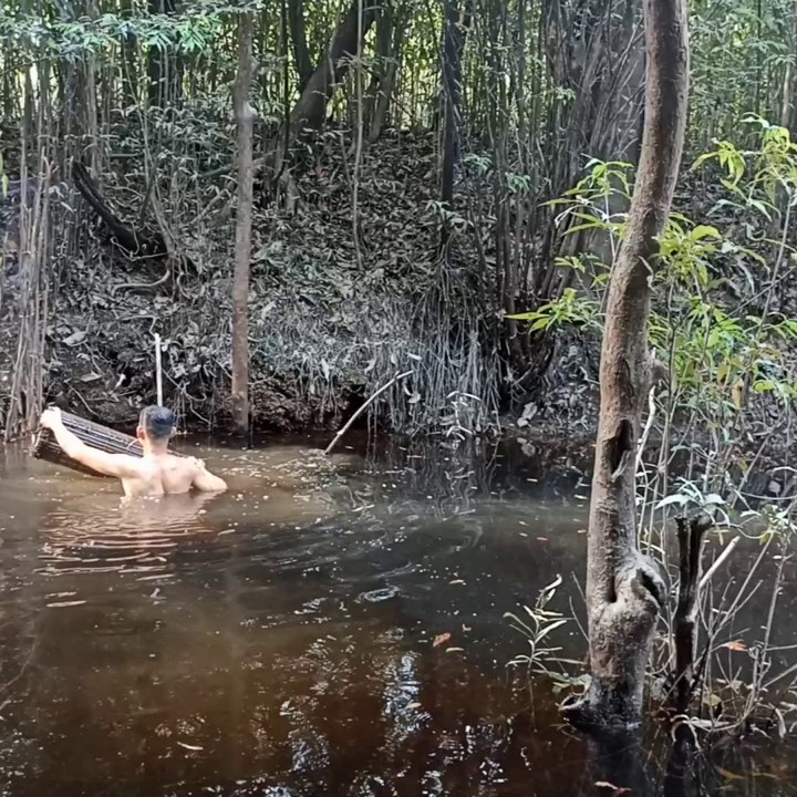 Catch fish with traditional traps