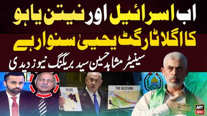 "Ab Israel  aur Netanyahu ka Agla Target Yahya Sinwar Hai...." Senator Mushahid Hussain's Statement