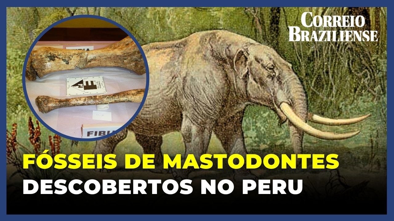 Fósseis de três mastodontes de mais de 11 mil anos são descobertos nos Andes peruanos