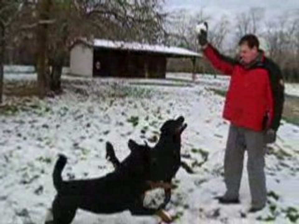 Neige au terrain