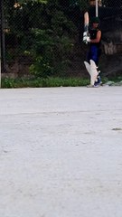 Enjoy my batting clips