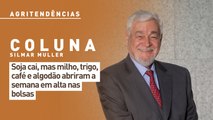 Soja cai, mas milho, trigo, café e algodão abriram a semana em alta nas bolsas