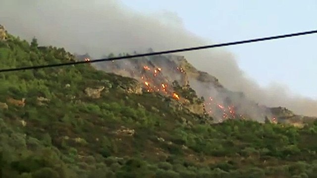 Dos muertos en un gran incendio forestal en el sur de Grecia