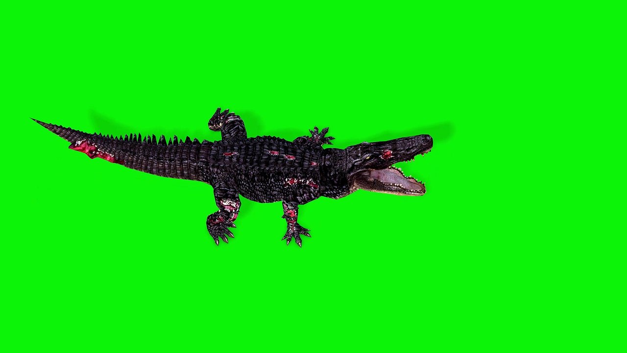 Angry Crocodile Green Screen 4K